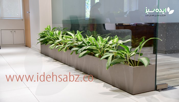 فلاورباکس-کاماپرس