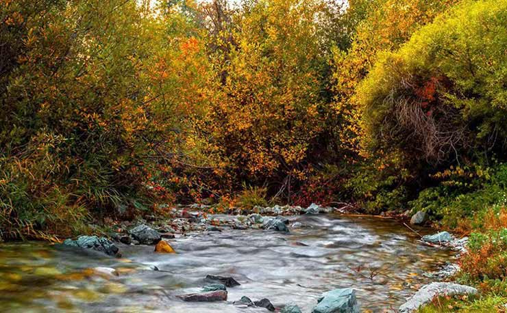 تور یک روزه-کاماپرس