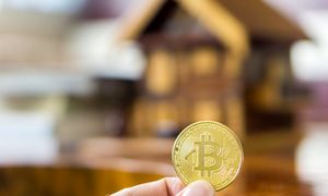 قیمت بیت کوین روز 13 شهریورماه 1401/ پایین ترین نرخ تسلط برای رمزارز برتر رقم خورد