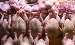 زیان 3 هزار میلیاردی مرغداران از ارزانی مرغ !