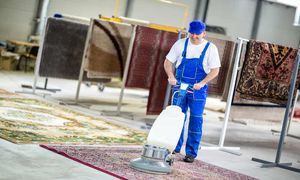 بهترین قالیشویی تهران را چطور پیدا کنیم؟