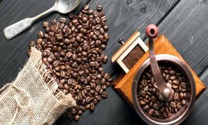 جدیدترین محصولات بن مانو را ببینید