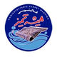 همیشه تمیز