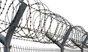 قیمت سیم خاردار حلقوی سوزنی 13 بهمن 1401 + معرفی انواع آن