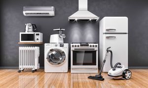 بهترین محصولات بُست را می‌شناسید؟