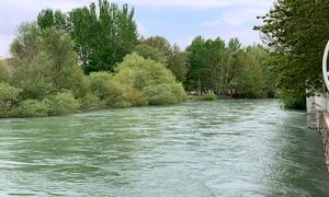 راهنمای سفر به باغ بهادران