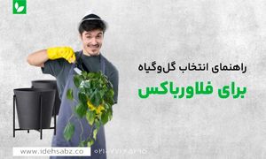 چگونه مناسب ترین و بهترین گل ها را برای فلاور باکس انتخاب کنیم؟