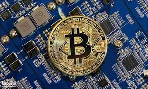 قیمت روز بیت کوین 24 خرداد 1402/ تمایل نهنگ‌ ها برای نگهداری رمزارز برتر بازار