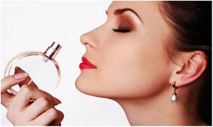 گران ترین عطر های خنک زنانه + قیمت