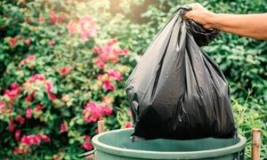 بهترین کیسه زباله را از کجا سفارش دهیم؟