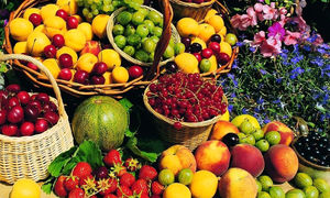 میوه تا 20 روز دیگر ارزان می شود