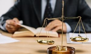 وکیل دادگستری چه می کند؟