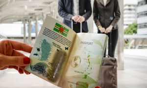 شرایط دریافت پاسپورت دومینیکا/ مدت اعتبار و هزینه ها