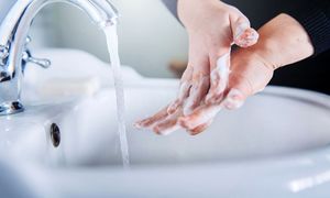 همه چیز درباره بهترین عمده فروشی مایع دستشویی