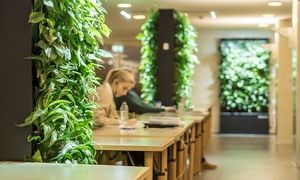 اهمیت اجرای طراحی بیوفیلیک در مدارس