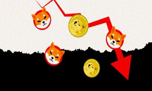 شیبا و دوج کوین بر سر دوراهی صعود یا سقوط