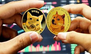 علت جا ماندن دوج کوین و شیبااینو از رشد قیمتی چیست؟