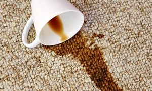 5 راهکار خانگی برای از بین بردن لکه‌ های موکت
