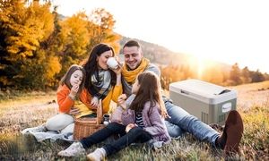 بهترین برند یخچال مسافرتی کدام است؟