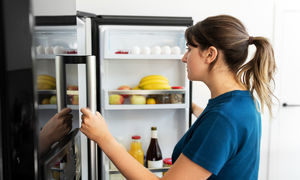 یخچال فریزر دوو بخریم یا ایکس ویژن؟