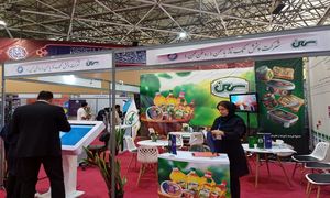 توجه به نخبه گرایی در مجموعه پخش تک ناز یاسمن
