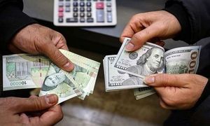 روایت متفاوت آرش کریم بیگی به افزایش لحظه‌ای قیمت دلار