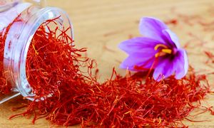 حضور زعفران نوین در نمایشگاه گلفود منیوفکچر دبی