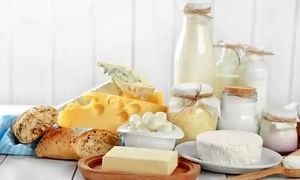 عملکرد شرکت های لبنی از لحاظ سودآوری؛ عالیس در صدر