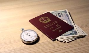 روش دریافت ویزای نمایشگاهی چین