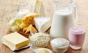 کالبر در صدر فروشندگان محصولات لبنی