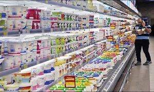 بازار لبنیات صادراتی در دست یکی از تولیدکنندگان داخلی