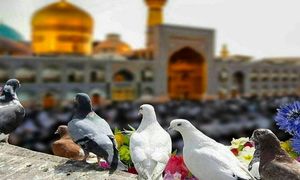 زیارت و سیاحت با تور مشهد
