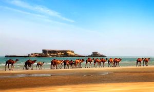 برای اقامت دو روزه در قشم چقدر باید هزینه کرد؟