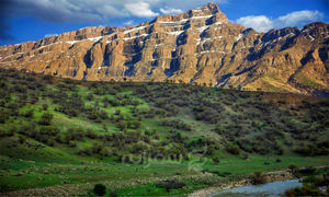 همراهی درسا با ایفا در پروژه زاگرس