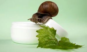 فواید مخاط حلزون برای مراقبت از پوست انسان