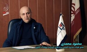 قانونی برای حمایت از برندها نداریم