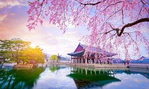 زمان را از دست ندهید؛ آخرین فرصت‌ها برای رزرو تور ژاپن و کره نوروز!