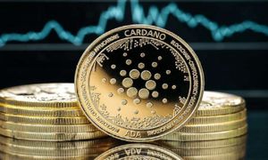 قیمت کاردانو بین دو راهی کاهش یا افزایش