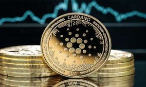 قیمت کاردانو بین دو راهی کاهش یا افزایش