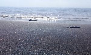 اعلام آمادگی تیپاکس برای بازگرداندن رایگان خاک هرمز