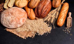 گزارش ویدیویی کاماپرس از همایش ملی روز گندم و نان با حمایت نان آوران