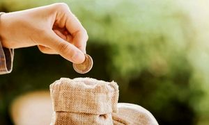 نگاهی به عملکرد نیکان در سال 1403