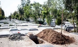 پشت پرده کشف گنج در بهشت زهرای تهران