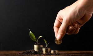 جزئیات طرح مگاسود فروردین کاریزما