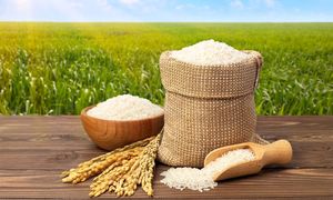 قیمت برنج بالا رفت / هر کیلو برنج بیش از 200 هزار تومان