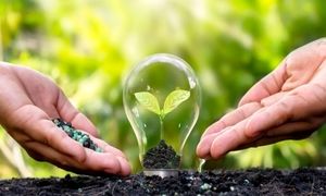 تاسیس هلدینگ تخصصی انرژی تجدیدپذیر مپنا با مشارکت بانک‌ های تجارت و ملت