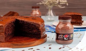 حضور رامک در همایش انجمن گوارش شیراز