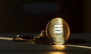 رشد قیمت سونیک با حمایت شدید کیف پول بایننس