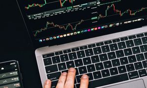 آغاز احراز هویت مجدد در نوبیتکس / زمان برداشت مشخص شد