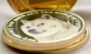 پیروی رمزارز شیبا اینو از اتریوم